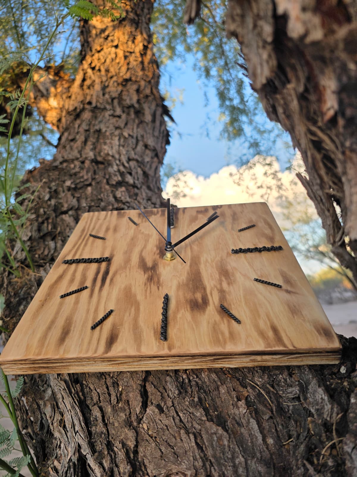 Timber One