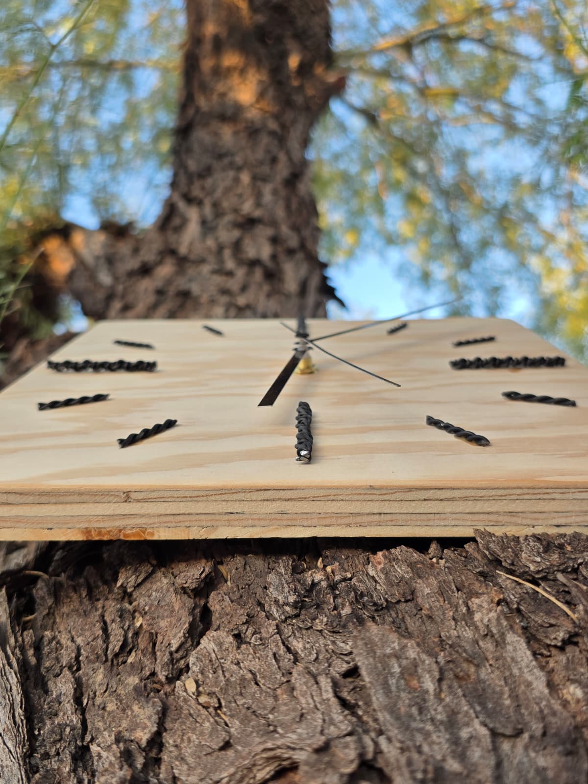 Timber One