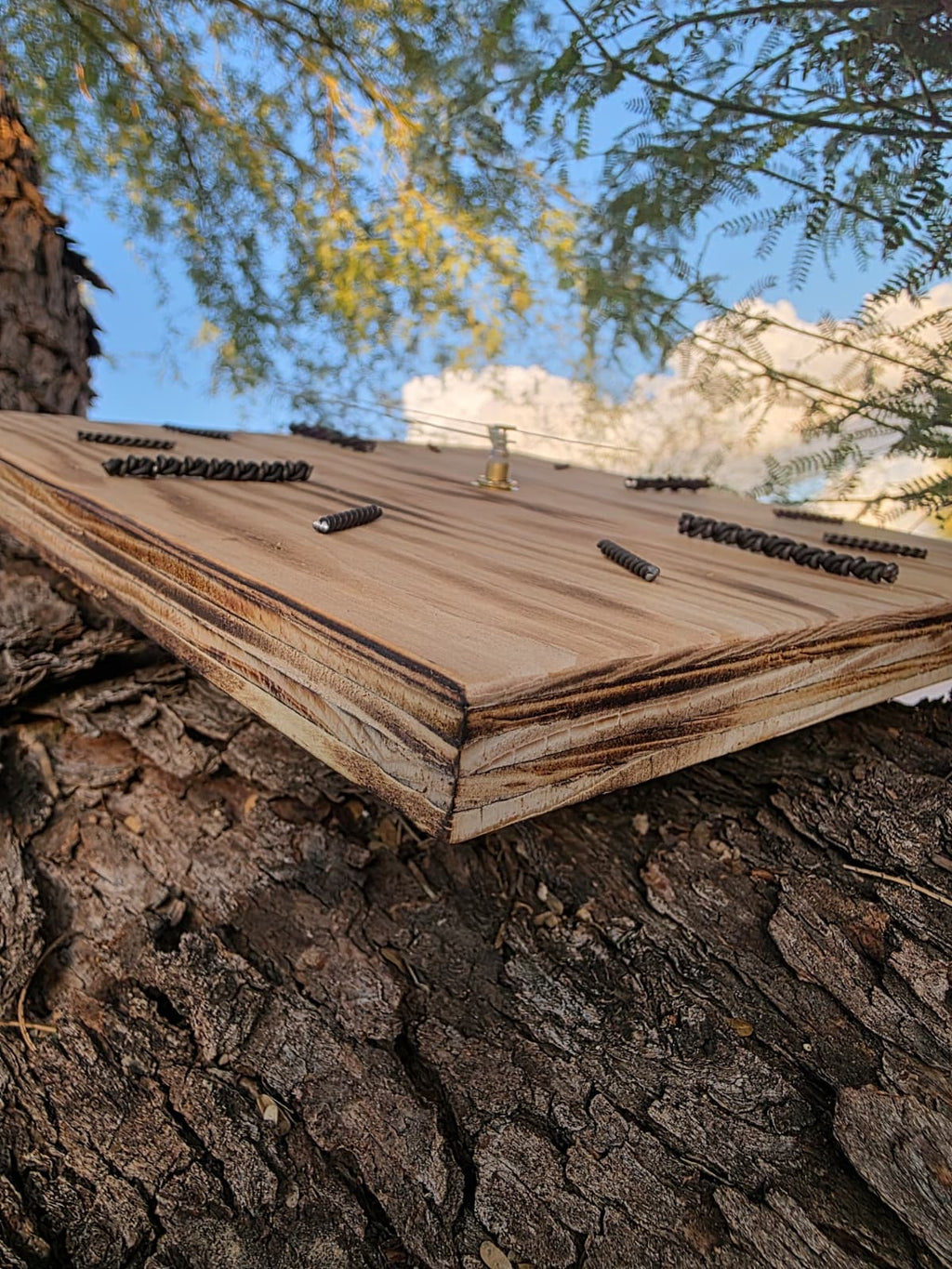 Timber One