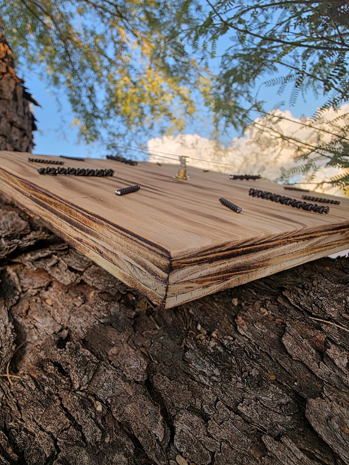 Timber One